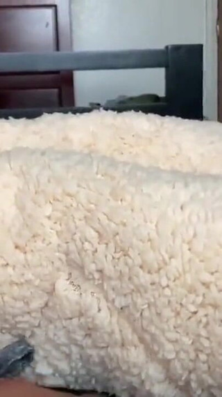 I Want to Spread Your Legs, Push Your Bikini Aside and Put It in Slowly