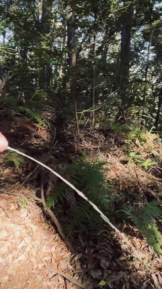 Exposes a Small Hairless Foreskin in the Woods.