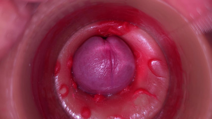 Camera in Vagina, Cervix POV, Creampie 4K