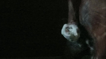 Is Going on in the Dark