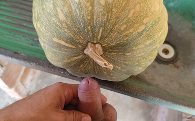 Hungry Dick Among Pumpkins for Halloween