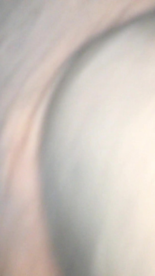 Black Breeders Adventures 04