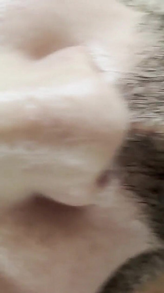 Horny Watersport Christmas Gift From Stepdaddy