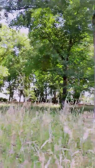 Slutboyben Cam4 Mega Sexy Public Exhibitionist Pig