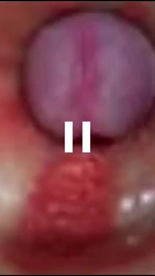 Best Compilation Crempie Pussy - Camera Inside 4K