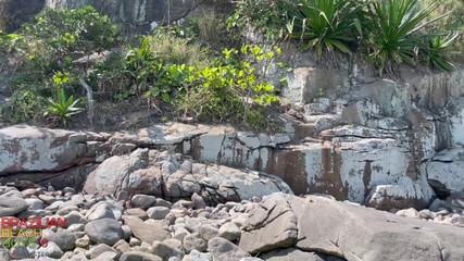 Brazilian Beachboys #6 - Scene 4