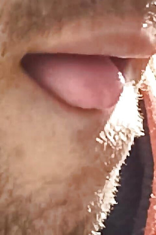 Mouth and Saliva Fetish 2