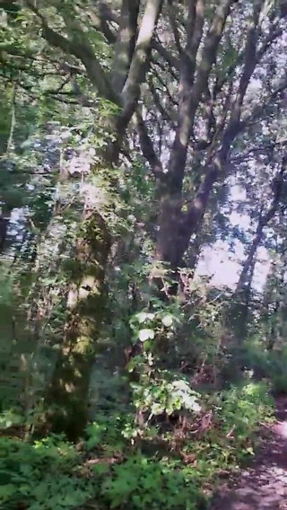 Slutboyben Cam4 Sexy Exhibitionist Pig Mega Hot Fun