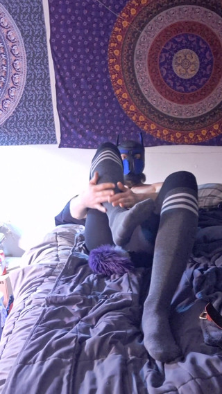 Pet Choker Socks Chains Barking Fetish