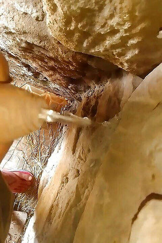 Piss Tribute Smarr Cocks