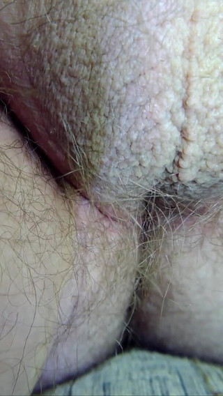 A Close-up of This Hairy Crotch