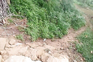 Caught Bhabhi Boyfriend in Antarctica After Piss Tribute and Tree Fruit