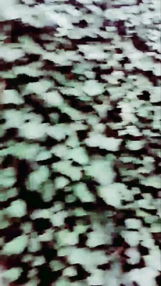 Slutboyben Cam4 Nympho Cock Cumzzz