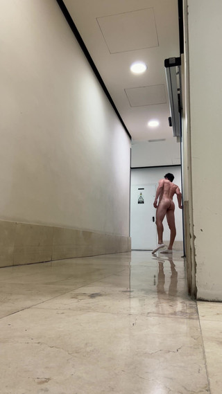 Risky Public Bathroom Exhib