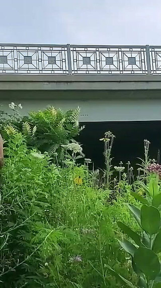 Caught Naked in Public!! Kennie Jai Jerks for All to See!!