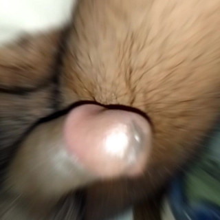 Desi Boy Masturbating in Bathroom