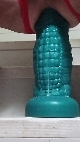 A Quickie When the Wife's Away