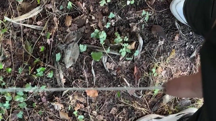 This Dude Pulls His Cock Out and Takes a Piss