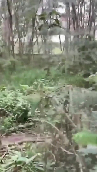 A Worker Passed Through the Park and Received a Blowjob.