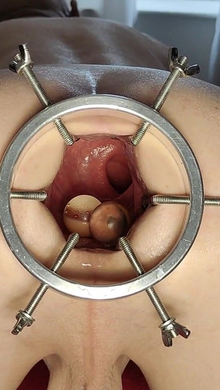 How Many Do You Count Ft David Anderson