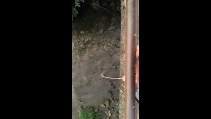 Twink Piss From the Bridge Into the River