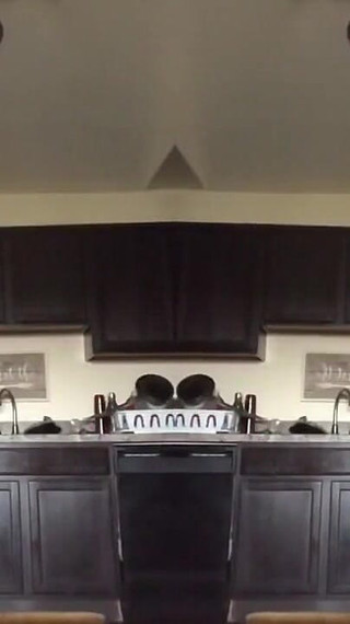 I Know Liberals Control Everything but I Aint Going Nowhere, Sex Workers Arent All Liberal