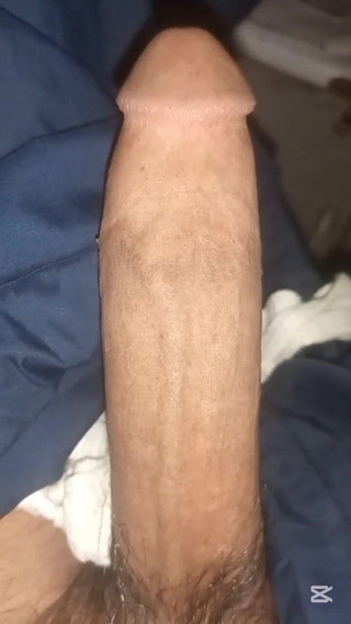 A Video of My Heart and Sexy Land Part 2