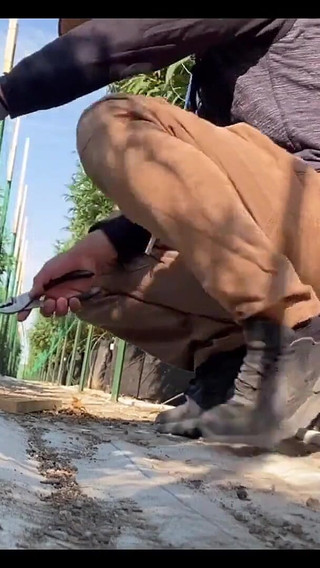 I'm Thinking About My Friend's Vagina