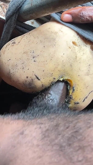 Big Dick Go Deep on Big Slut