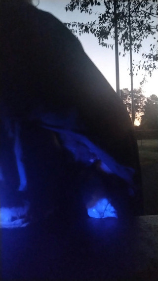 Sissy Slut Takes Huge Homemade Dildo Outdoors on Greenway in Front of Everyone