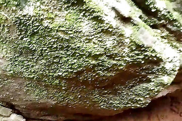 Australian Rittu XXX in India Porn Club Fucked Ass