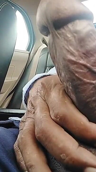 Freed From the Big Land