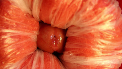 It Was Evening and There Was Nothing to Fuck!