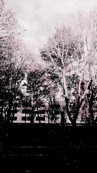 Slutboyben Cam4 Nympho Cock Cum