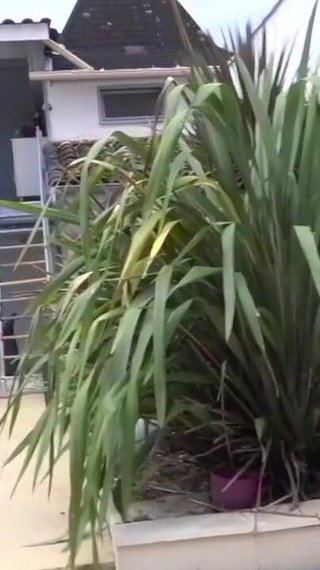 Romantik used raw by the straigth boy Vlad Castle