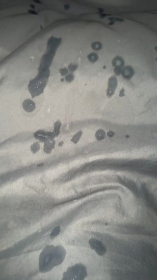 Who Wants to Swallow My Cum