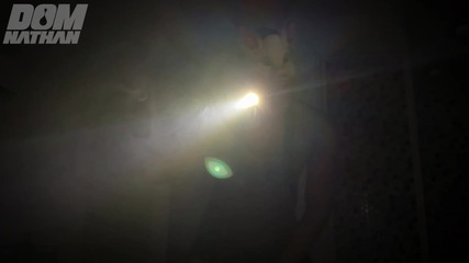 Training - Perverted Pig Pprs Countdown and Instructions