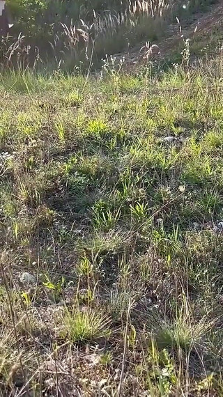 Hot Discovery Results in a Blistering Session of 69-ing!