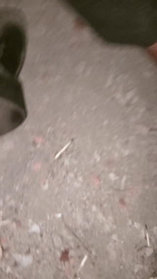 Jerking off My Desi Cock