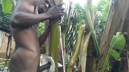 Man All Alone in the Forest and Make the Plantain Tree Is Wife and Fuck on It