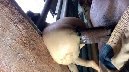 Three Style of Fucking Big Ass Deep Anal Slut Hard