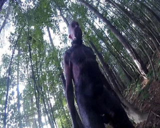 Part 2 Dirty Ib the Woods