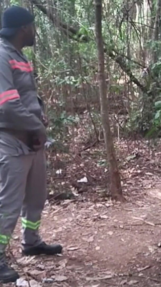 I Went to the Lagoon to Take a Piss and Masturbate.