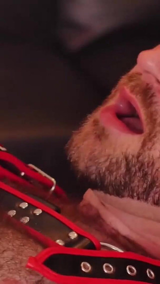 BEARFILMS Bald bearded bear dominates hairy bottom gay