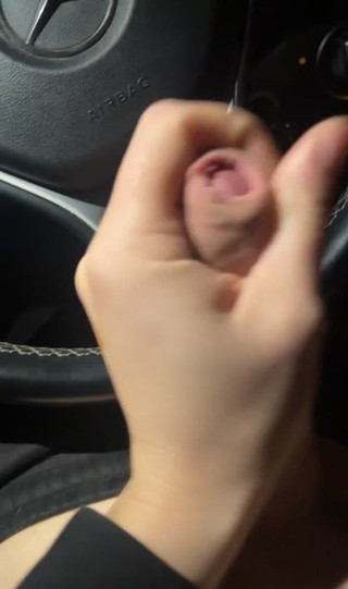 Whos Gonna Suck It in My Mercedes