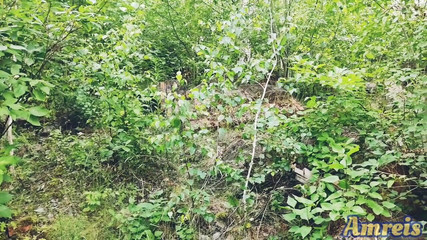 Hot Summer Cum. Part 1. a Break During a Long Walk Ended with a Wank and an Orgasm