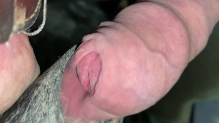 Close up Uncut Handsfree Cumshot After Hose Suction
