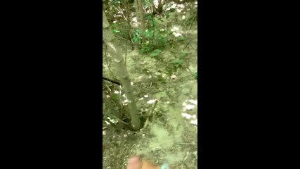 Big Forest Cumshot