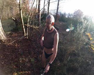 Cold Day in the Woods