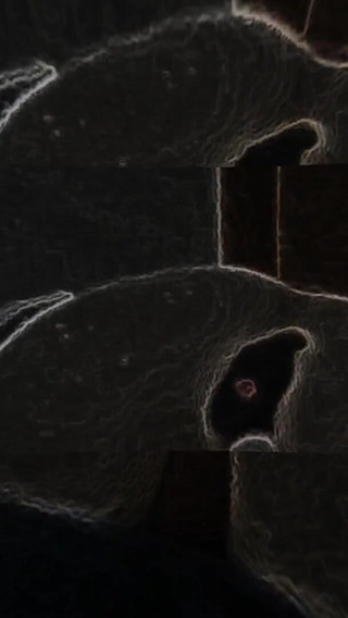 Amateur Boy Double Anal Penetration